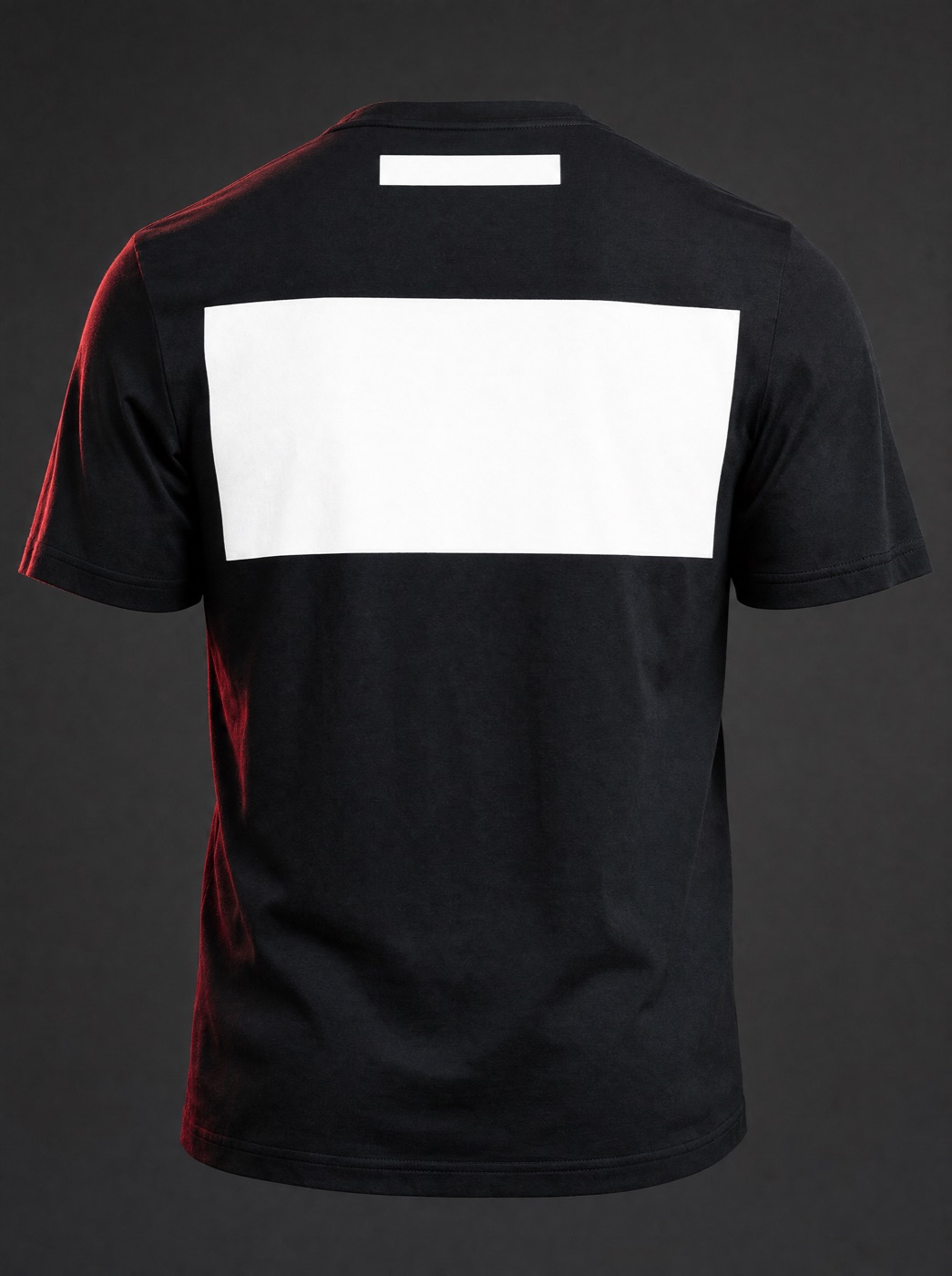 Produktfoto: schwarzes T-Shirt von hinten mit leerer Rückenfläche